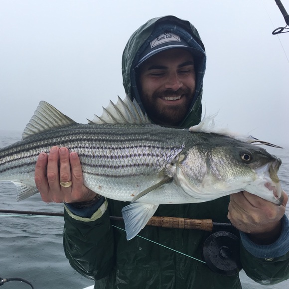 Meet your Posher, Peter - Picture 3 of 3